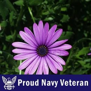 Meet your Posher, Daisy